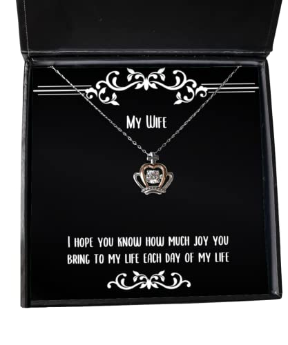 Nice Wife, I Hope You Know How Much Joy You Bring to My Life Each Day of My, Sarcasm Holiday Crown Pendant Necklace for Wife