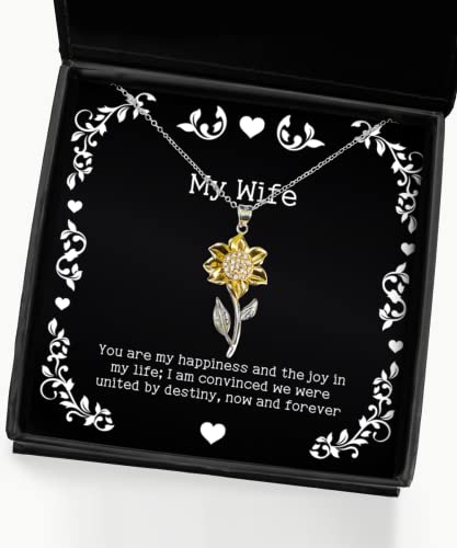 Gag Wife Gifts, You are My Happiness and The Joy in My Life; I am Convinced, Inappropriate Sunflower Pendant Necklace for Wife from Husband