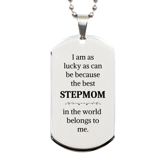 Stepmom Silver Dog Tag - Best Stepmom in the World - Engraved Gift for Mothers Day, Birthday, Christmas - Special, Unique, Inspirational, Meaningful Token of Love for Stepmom